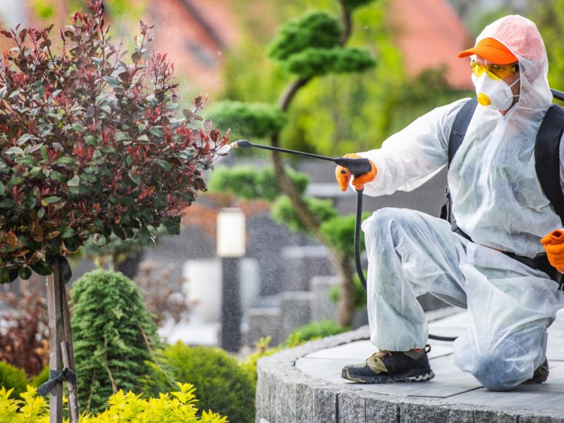 Keçiborlu Haşere İlaçlama